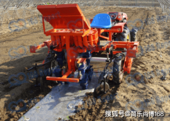  行业查询拜